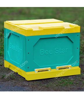 Вулик ППУ «BeeStar» (1 корпус Дадан на 12 рамок) - кольоровий