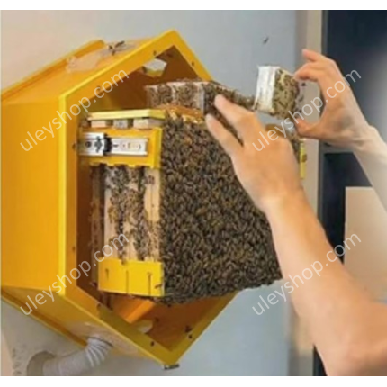 Домашній оглядовий вулик