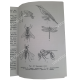Книга "Справочник пчеловода" Миньков С.Г., Плотников И.С.