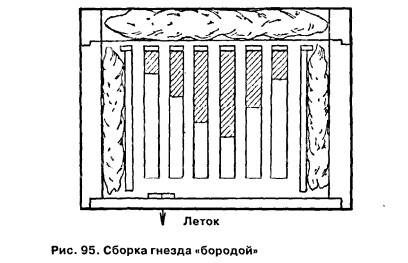 7246.jpg - ОСЕННЕЕ НАРАЩИВАНИЕ МОЛОДЫХ ПЧЕЛ