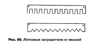 7247.jpg - ОСЕННЕЕ НАРАЩИВАНИЕ МОЛОДЫХ ПЧЕЛ